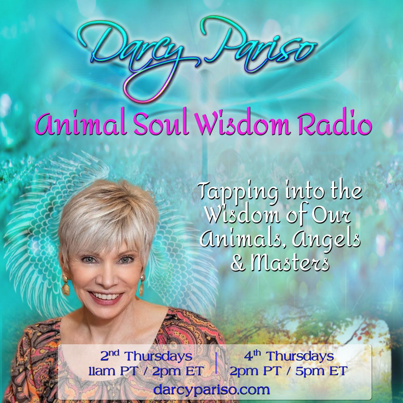 Animal Soul Wisdom Radio with Darcy Pariso: Tapping into the Wisdom of Our Animals, Angels, & Masters