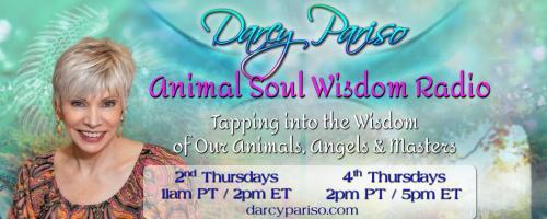 Animal Soul Wisdom Radio: Tapping into the Wisdom of Our Animals, Angels and Masters with Darcy Pariso : Encore: Animal Tales: From Exotic Animals to Your Own Backyard: What do They Want to Share?