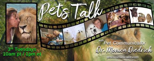 The Pet Communicator Show with Dr. Monica Diedrich: What  Animals Do and Don't Know!